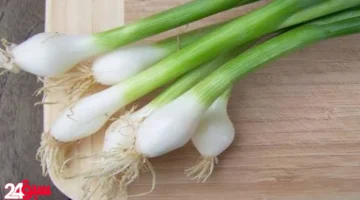 البصل الأخضر على الريق.. كنز لتقوية المناعة ومنح جسمك طاقة هائلة